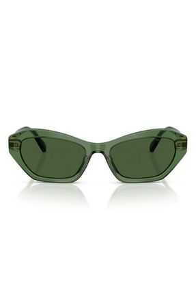 Swarovski 54mm Cat Eye Sunglasses in Transparent Green /Dark Green at Nordstrom