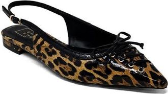 Shushop Amy Slingback Flat in Leopard Print at Nordstrom, Size 7.5