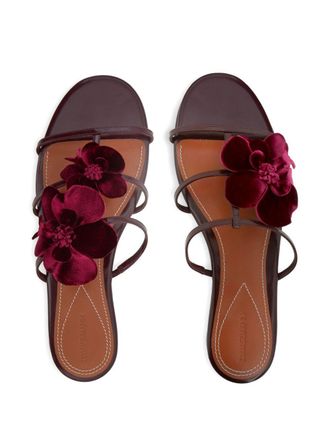 Zimmermann Sandali piatti Zimmermann in pelle orchidea