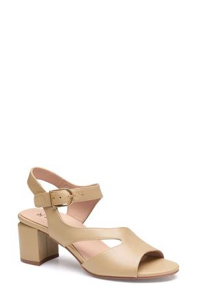 Johnston & Murphy Samantha Slingback Sandal in Sand Nappa Leather at Nordstrom, Size 6.5