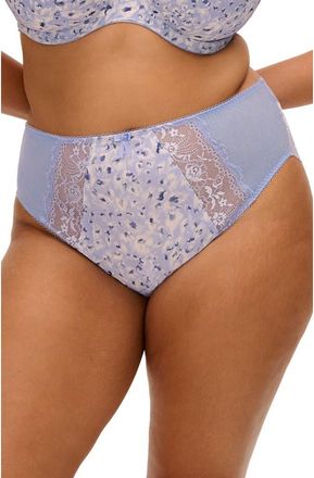 Elomi Morgan Briefs in Blue Leopard at Nordstrom, Size Xxx-Large
