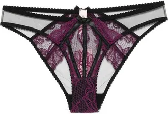 Agent Provocateur Intricate Lace Brief with Sheer Mesh Panels