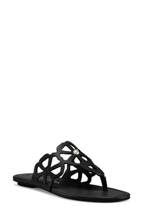 Stuart Weitzman Jasmine Cutout Sandal in Black at Nordstrom, Size 8.5