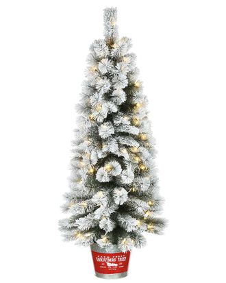 National Tree Company 5Ft Snowy Pogue Pine Entrance Tree With Led Lights