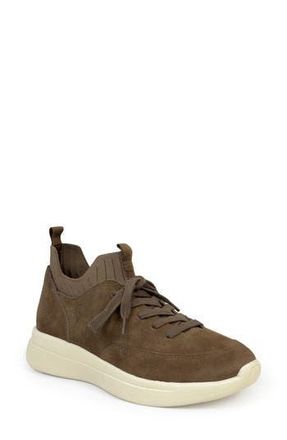 Aerosoles Farra Sneaker in Fango Sport Suede Knit at Nordstrom Rack, Size 8.5