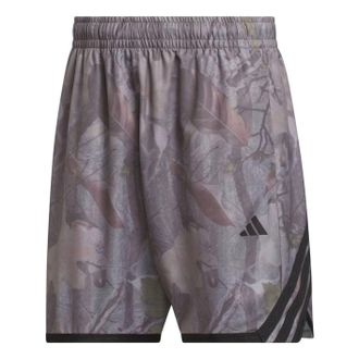 adidas Crazy Lite Camo AOP Shorts Asia Sizing Alumina KG4790