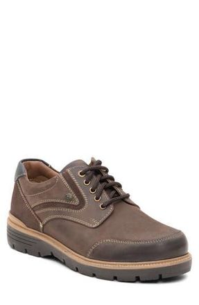 Ara Allen Sneaker in Moro/cognac at Nordstrom Rack, Size 7Us / 40Eu