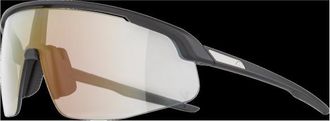 Alpina Turbo Pro V Photchromic S1-3 Velobrille - Unisex | schwarz