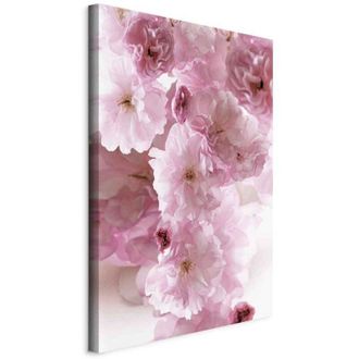 OEM Imagen - Glamour Floral (1 Pieza) - P&eacute;talos De Flores En Tonos Rosas
