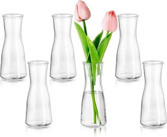 OEM Juego De 6 Mini Jarrones Modernos - Jarrones Decorativos De Cristal Transparente - Jarrones Minimalistas Para Sala De Estar Y Bodas