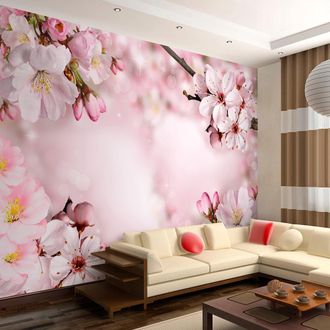 Artgeist Fotomurale - Spring Cherry Blossom - 300x210