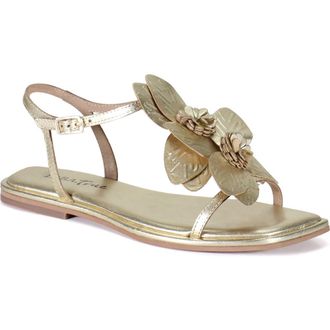 Diba PER SHING Leather Floral Flat Dress Sandal in Gold at Nordstrom, Size 7.5