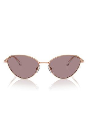 Swarovski 58mm Cat Eye Sunglasses in Rose Gold at Nordstrom