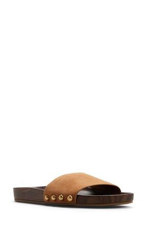 Aldo Rooted Slide Sandal in Light Brown at Nordstrom, Size 6.5