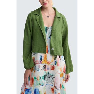 Luukaa D'Celli Laras Boxy Linen Short Jacket in Apple Green at Nordstrom, Size X-Large/xx-Large