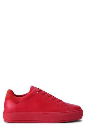 Kurt Geiger Laney Sneaker in Red at Nordstrom Rack, Size 8.5
