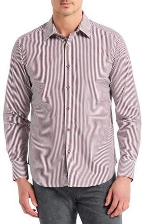 Robert Graham Greenwich Stripe Stretch Button-Up Shirt in Burgundy at Nordstrom Rack, Size Xxx-Large