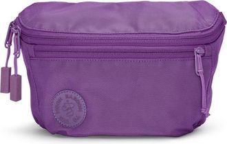 Baboon to the Moon Fannypack 3L in Purple at Nordstrom, Size X-Small