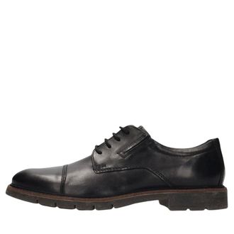 Salamander Schoenen, Heren, Zwart, 44 EU, Leer, Leren Veterschoen