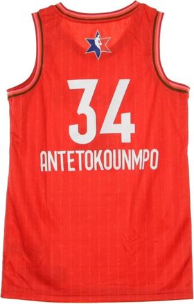 Nike Jordan NBA Swingman Jersey No 34 Giannis Antetokounmpo - Heren - Fitness - Rood - L - Polyester - Fitness