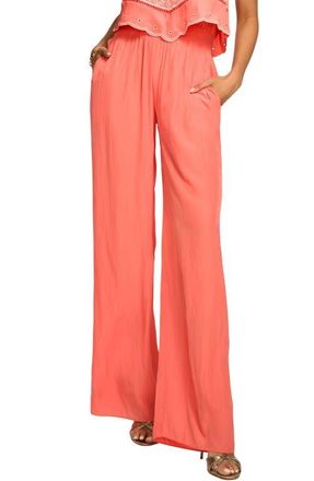 Ramy Brook Aspen Embroidered Bodice Jumpsuit in Coral at Nordstrom, Size Xx-Large
