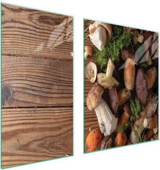 OEM Placa Protectora De Vidrio Para Estufa 90x52 Setas