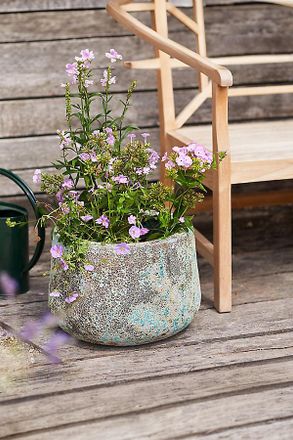 Terrain Barnacle Lucy Planter