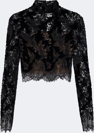Costarellos Crop top Isaline de terciopelo y encaje
