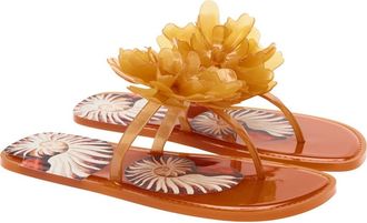 Farm Rio Flower Jelly Flip Flop in Est Ammonite at Nordstrom, Size 10