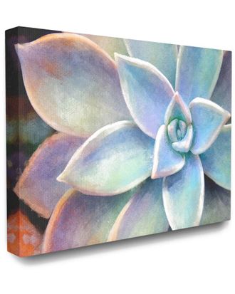Stupell Industries Succulent Plant Vibrant Bloom Painting