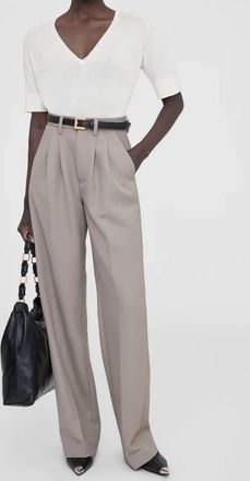 Anine Bing Carrie Wide-Leg Trouser Pant In Taupe