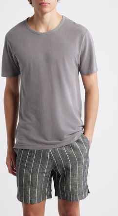 Alex Crane Organic Cotton Crewneck T-Shirt in Silver at Nordstrom, Size Xx-Large
