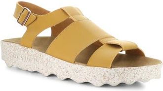FLY London Calla Sandal in Camel at Nordstrom, Size 10-10.5Us