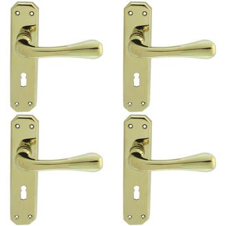 Loops 4x PAIR Heavy Duty Handle on Angular Lock Backplate 180 x 40mm Stainless Brass in Metallics