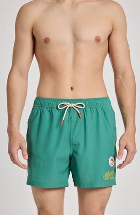 Party Pants x Wienerschnitzel Glizzy On the Green Game Changer Swim Shorts at Nordstrom Rack, Size Medium