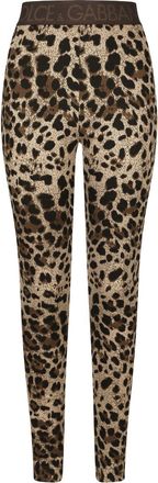 Dolce & Gabbana logo-waistband leopard-print leggings - women - Elastane/Nylon/Rayon - 42 - Neutrals