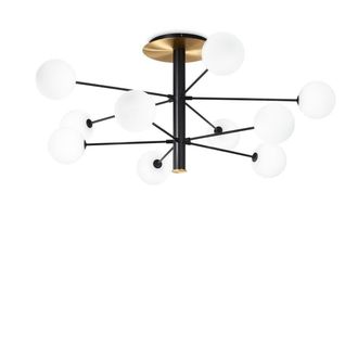 Netlighting Cosmopolitan 10 Arm Multi Arm Semi Flush Ceiling Light Black