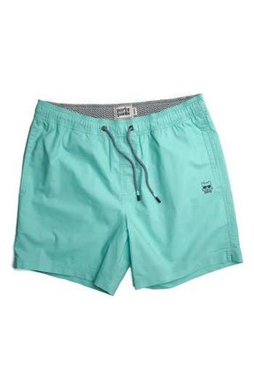 Party Pants Solid Vintage Volley Swim Shorts in Mint Green at Nordstrom Rack, Size X-Large