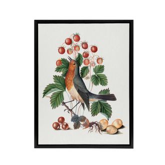 Artery8 Robin Bird & Wild Strawberry Plant Bolton Black Framed Canvas Art in White | Size: W24 x H32