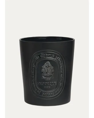 Diptyque Berries Very Giant Candle, 176.4 oz