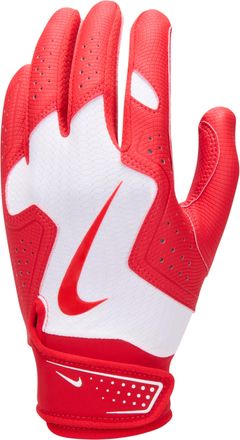 Nike Alpha 2.0 Kids Baseball Batting Glove in White | N1012187-143