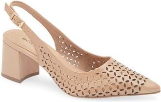 Bottero Janet Slingback Pointed Toe Pump in Brown Sugar at Nordstrom, Size 11