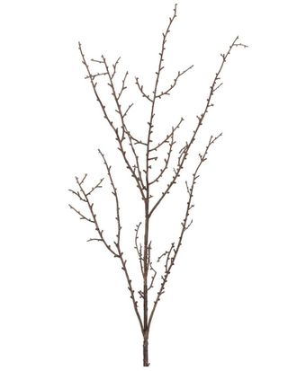 Melrose International Set Of 6 Birch Twig Branch