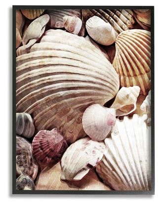 Stupell Industries Various Nautical Clam Conch Shells Framed Giclee Wall Art By Ashley Aldridge