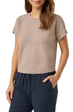 Splendid Skye T-Shirt in Fawn at Nordstrom, Size X-Small