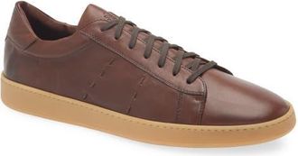 Eleventy Low Top Sneaker in 25 Cocoa at Nordstrom, Size 10Us