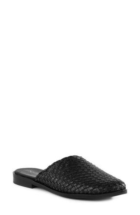 Seychelles Places to Go 2 Mule in Black at Nordstrom, Size 7.5