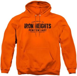 Gildan Justice League of America Iron Heights Adult Pull Over Hoodie / Hooded Sweatshirt