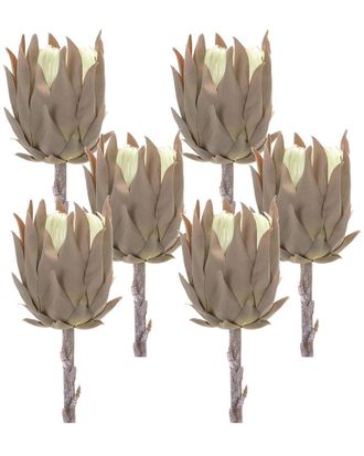 Melrose International Set Of 6 Beige Protea Stem