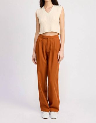 Astr Atlas Trouser In Terracotta